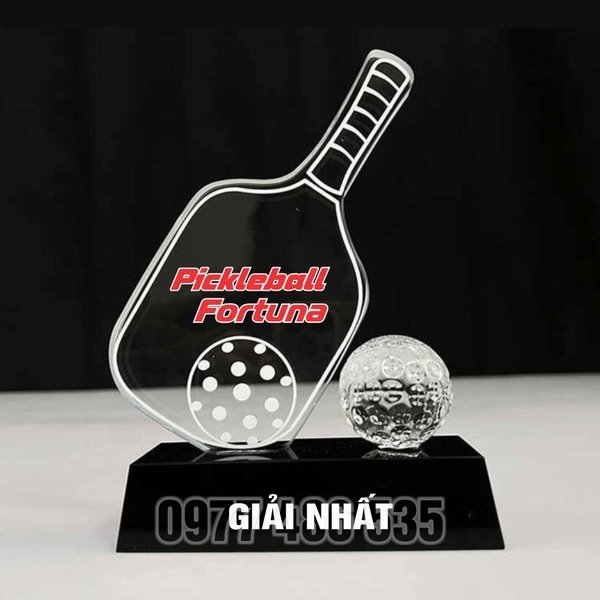Kỷ niệm chương pha lê mẫu 86