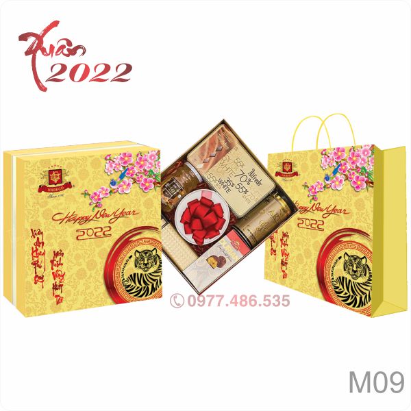 Hộp quà tết Thiết Kế TK22003 - Quà Tặng 102